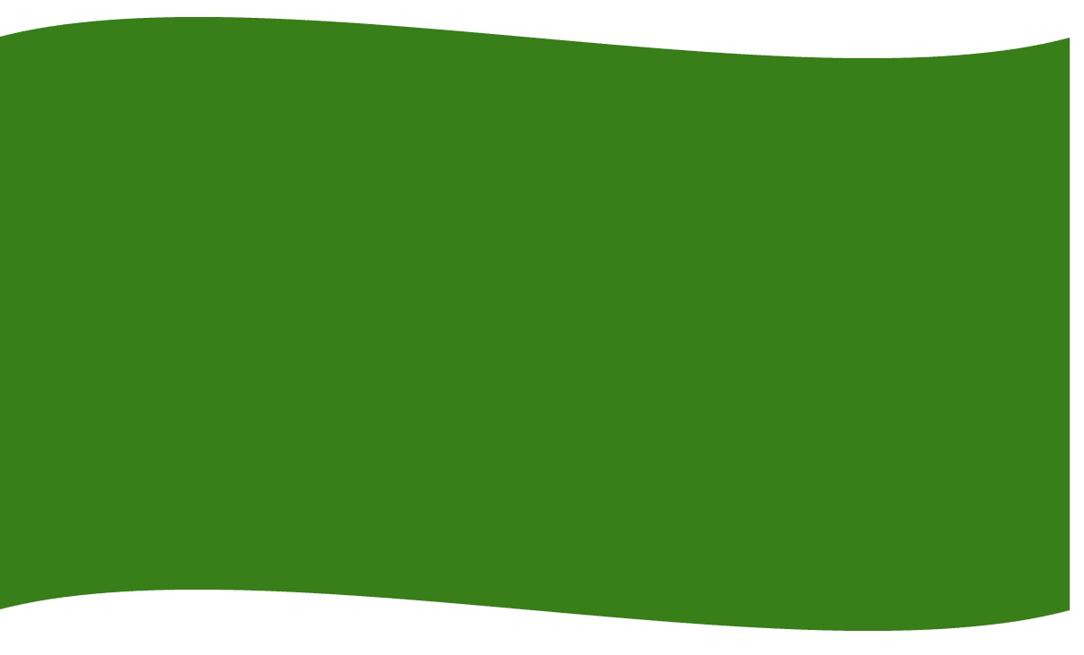 綠色旗幟形狀,頂部和底部有弧形線條。