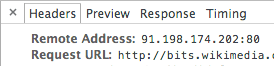 Remote IP Address