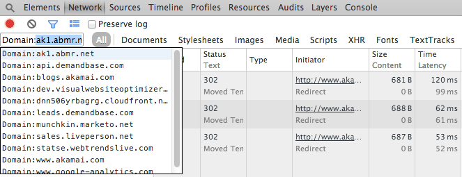 Network panel filtering.