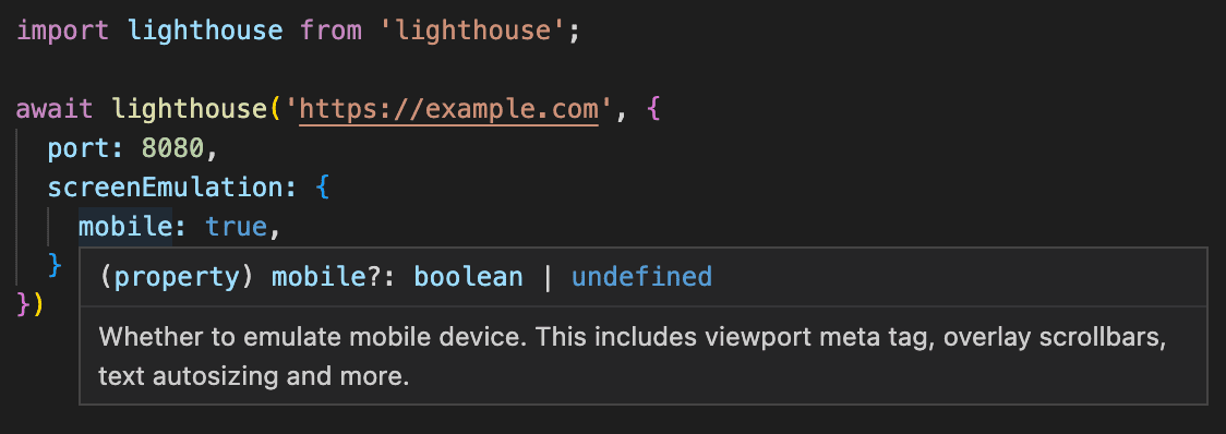 Ein Knotenskript, das Lighthouse als Funktion importiert und zeigt, dass das an die Funktion übergebene Optionsobjekt jetzt von TypeScript geprüft wird.