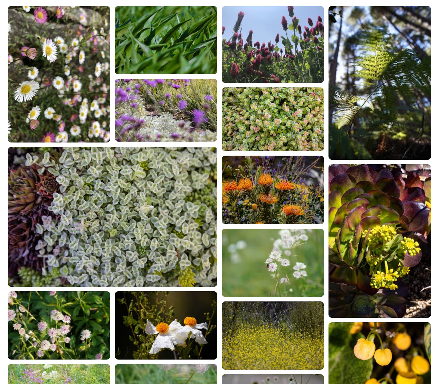 একাধিক ট্র্যাক বিস্তৃত আইটেম সহ রাজমিস্ত্রির লেআউট।