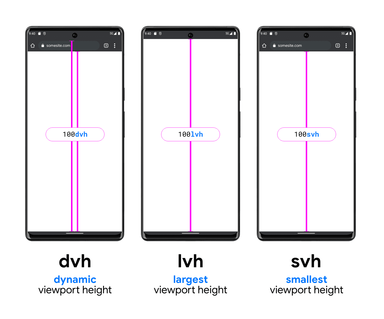 As diferentes partes da viewport para cada tipo de unidade de viewport.