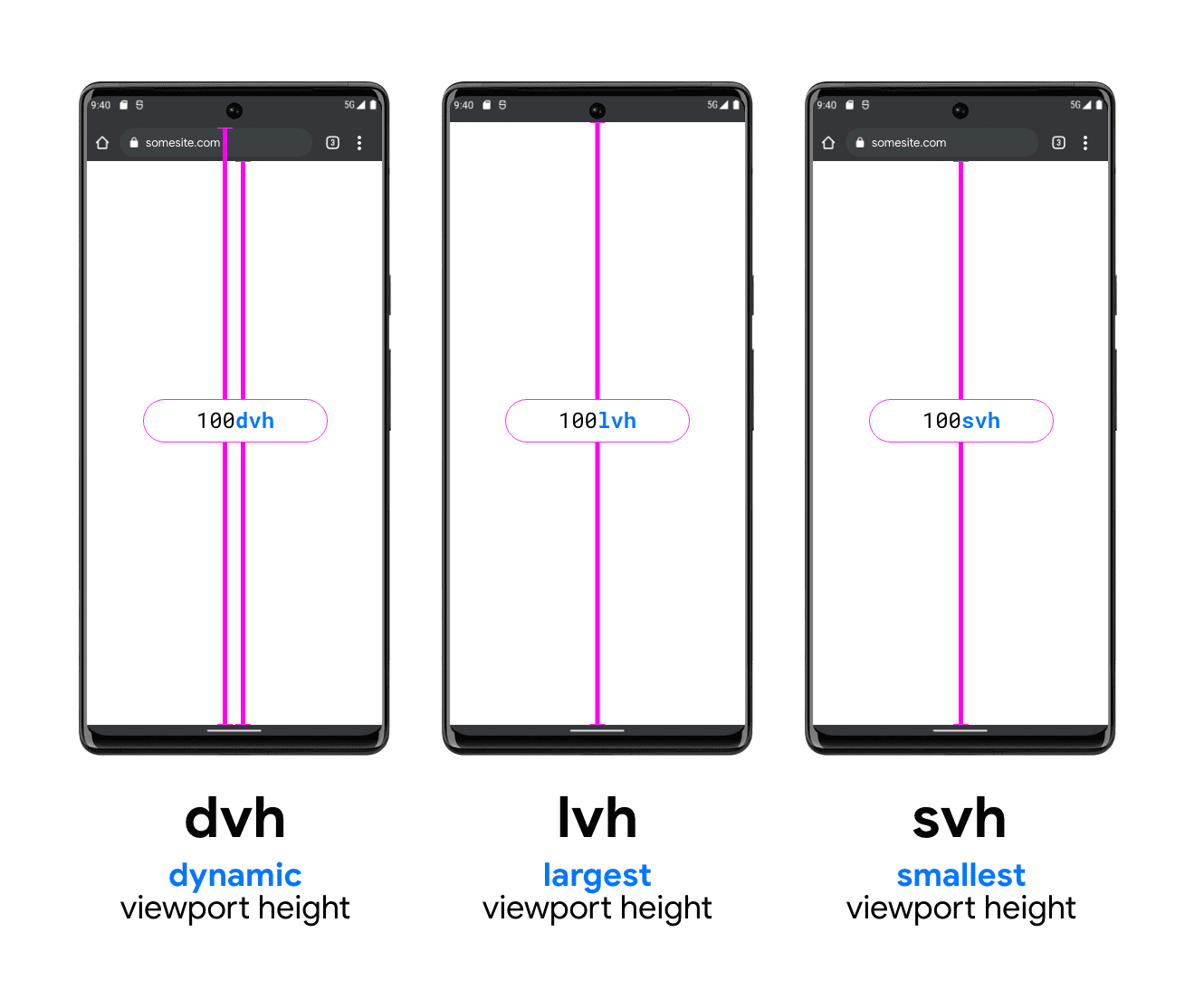 De verschillende delen van de viewport voor elk type viewport-eenheid.