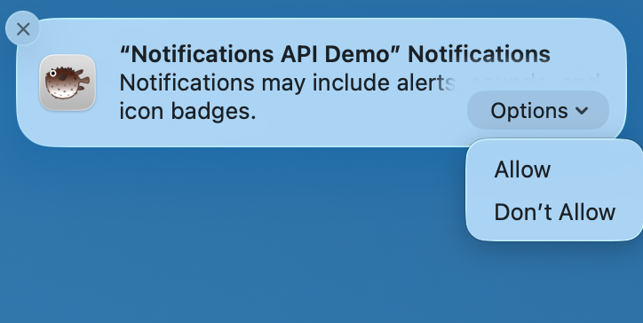 The macOS system permission dialog: PWA Name would like to send you notifications. Notifications may include alerts, sounds, and icon badges, with Don't Allow and Allow buttons.