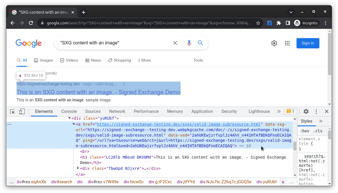 I risultati della Ricerca Google con DevTools mostrano un anchor tag che rimanda a webpkgcache.com
