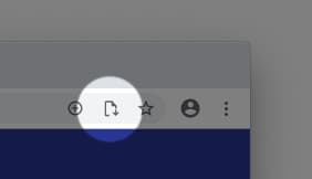 Omnibox icon