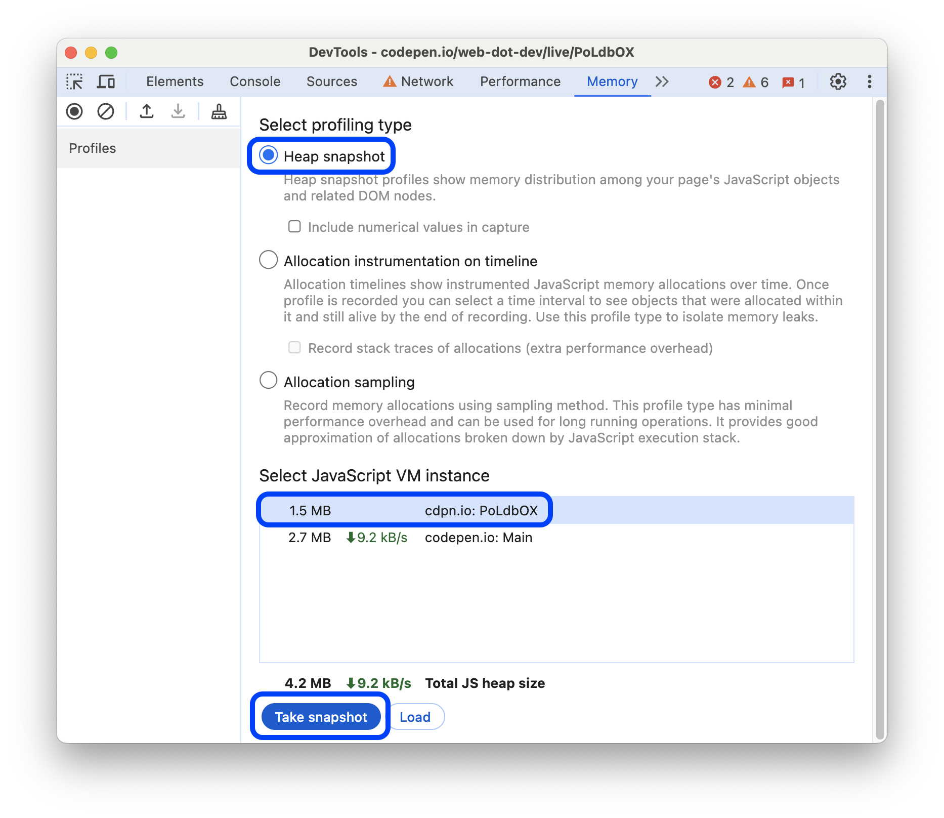 A selected profiling type and JavaScript VM instance.