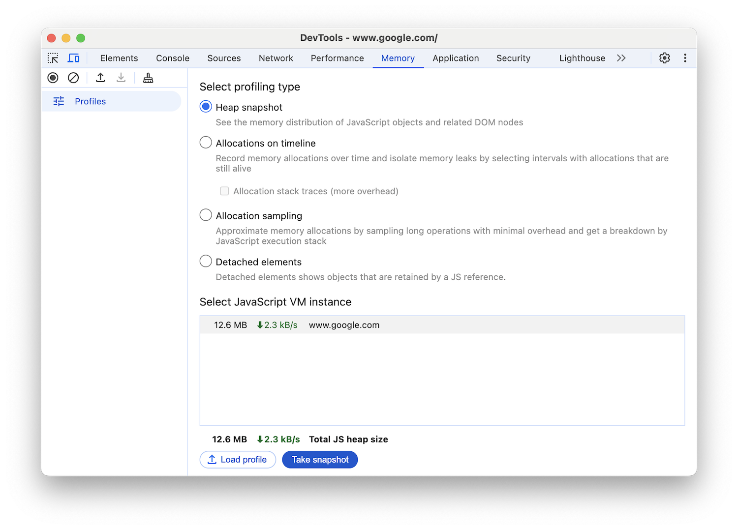 دکمه رادیویی Heap Snapshot انتخاب شده است.