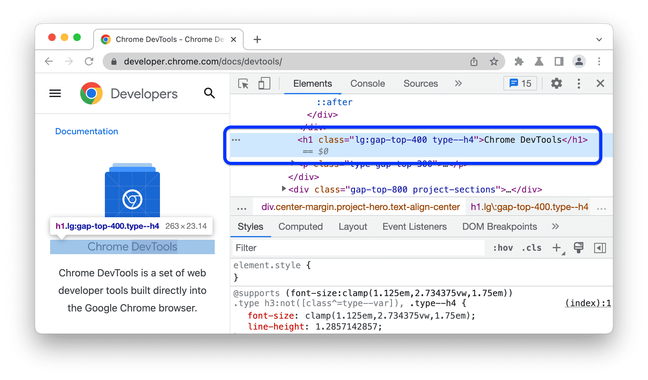 Elemen yang dipilih di panel Elements.