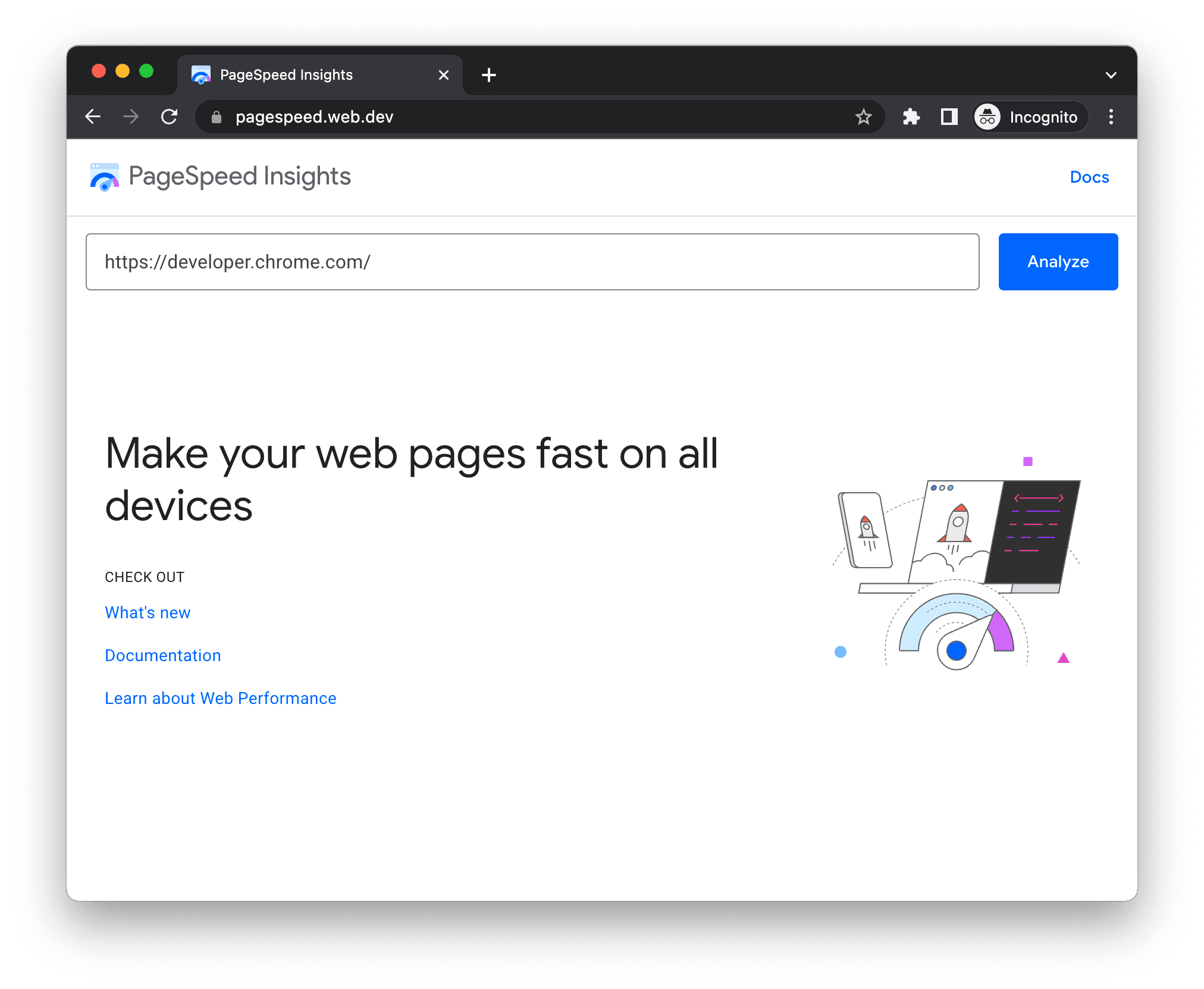 Interface utilisateur de PageSpeed Insights